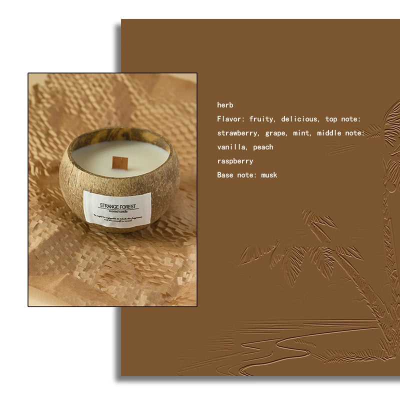 Coconut Shell Aromatherapy Candle | Premium Plant Wax Essential Oil