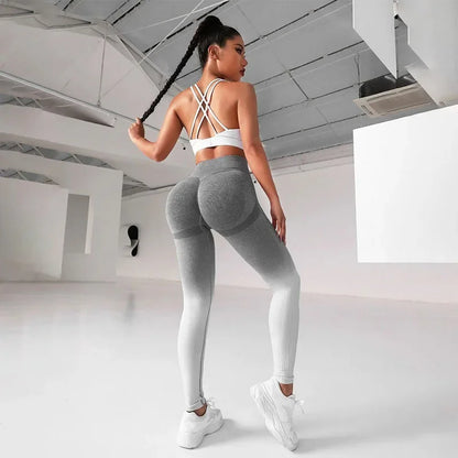 Contour Fit Leggings - Tummy Control Gradient
